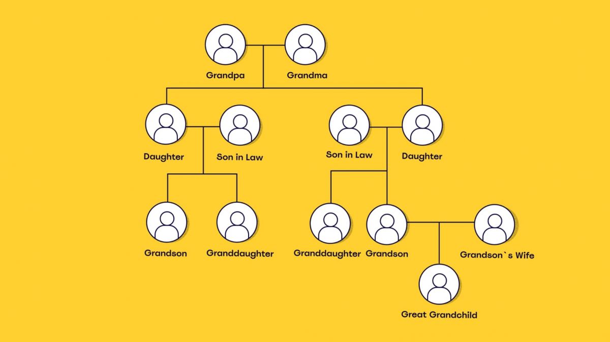 Building Your Family Tree: A Step-by-Step Guide